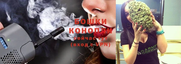гашик Михайловск