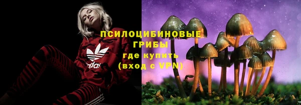 мескалин Михайлов