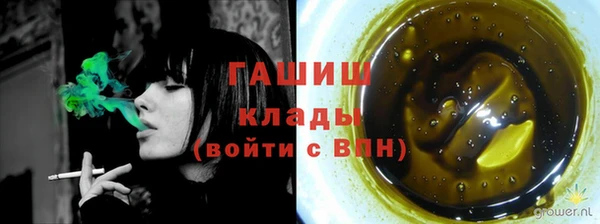 гашик Михайловск