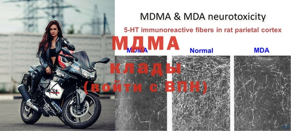 гашик Михайловск