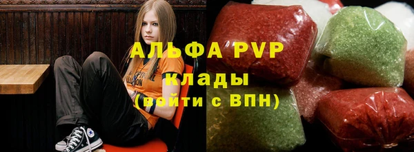 гашик Михайловск