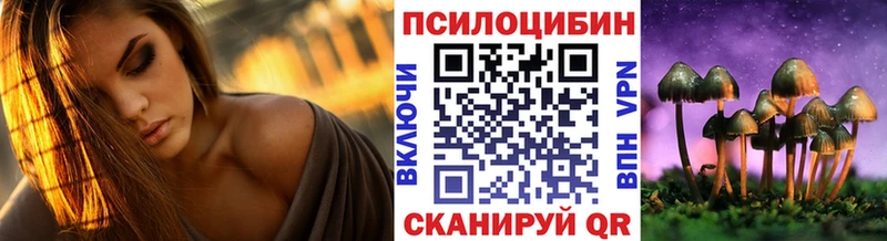 Псилоцибиновые грибы Psilocybe  Новосокольники 